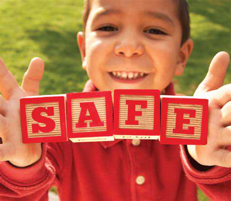 3.SafetyConsiderationsinPlayAreas