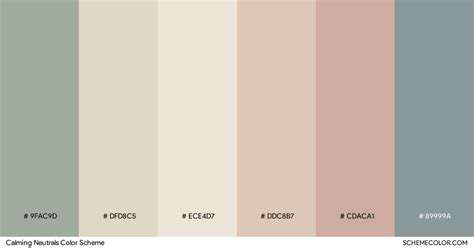 CreatingaCalmingColorPalette:SettingtheMood